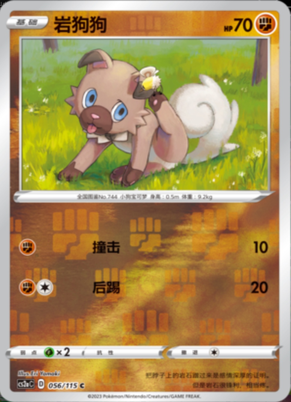 イワンコ